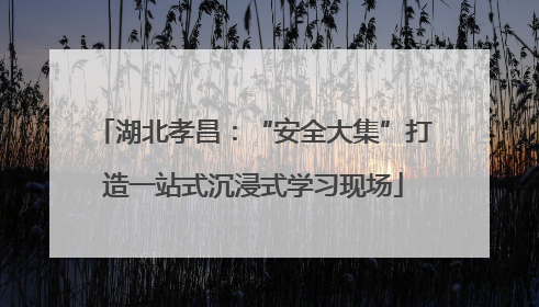 湖北孝昌：“安全大集”打造一站式沉浸式学习现场